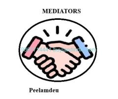 Commercial Property for sale Mediators in Peelamedu
