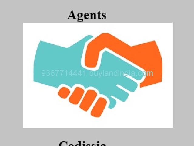 Agents for Sale Residential Property in Codissia